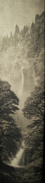 Free aesthetic bookmark featuring a gray forest